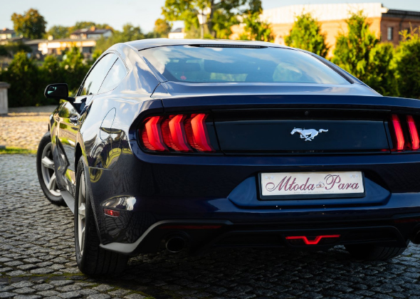 Sportscar on Pavement
