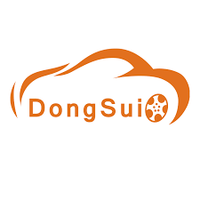 Dongsui Auto Accessories Logo