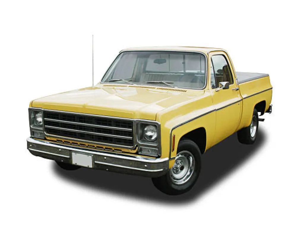 1979 Chevrolet Pickup Truck